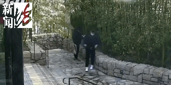 皇冠皇冠信用开户
_太猖狂！事发上海迪士尼皇冠皇冠信用开户
，7人被刑拘