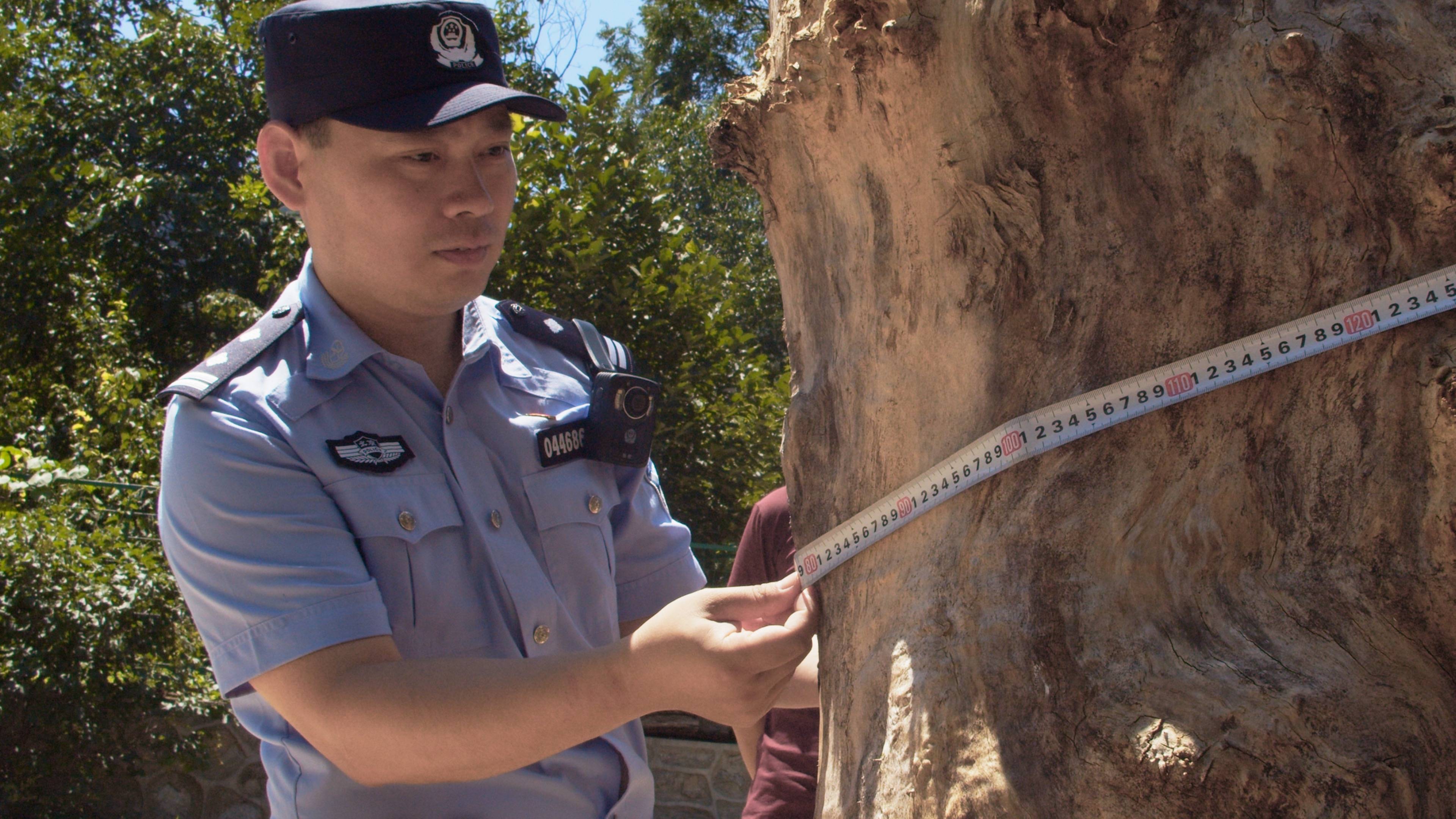 皇冠皇冠信用网代理
_森林警察韩孟祺:乔装成驴友潜伏密林中皇冠皇冠信用网代理
,抓获“粘鸟”嫌疑人