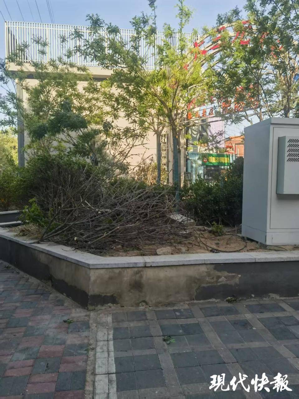 皇冠信用網APP下载
_石家庄被家暴女子驾车逃跑致丈夫身亡皇冠信用網APP下载
，一审以故意杀人罪获刑11年