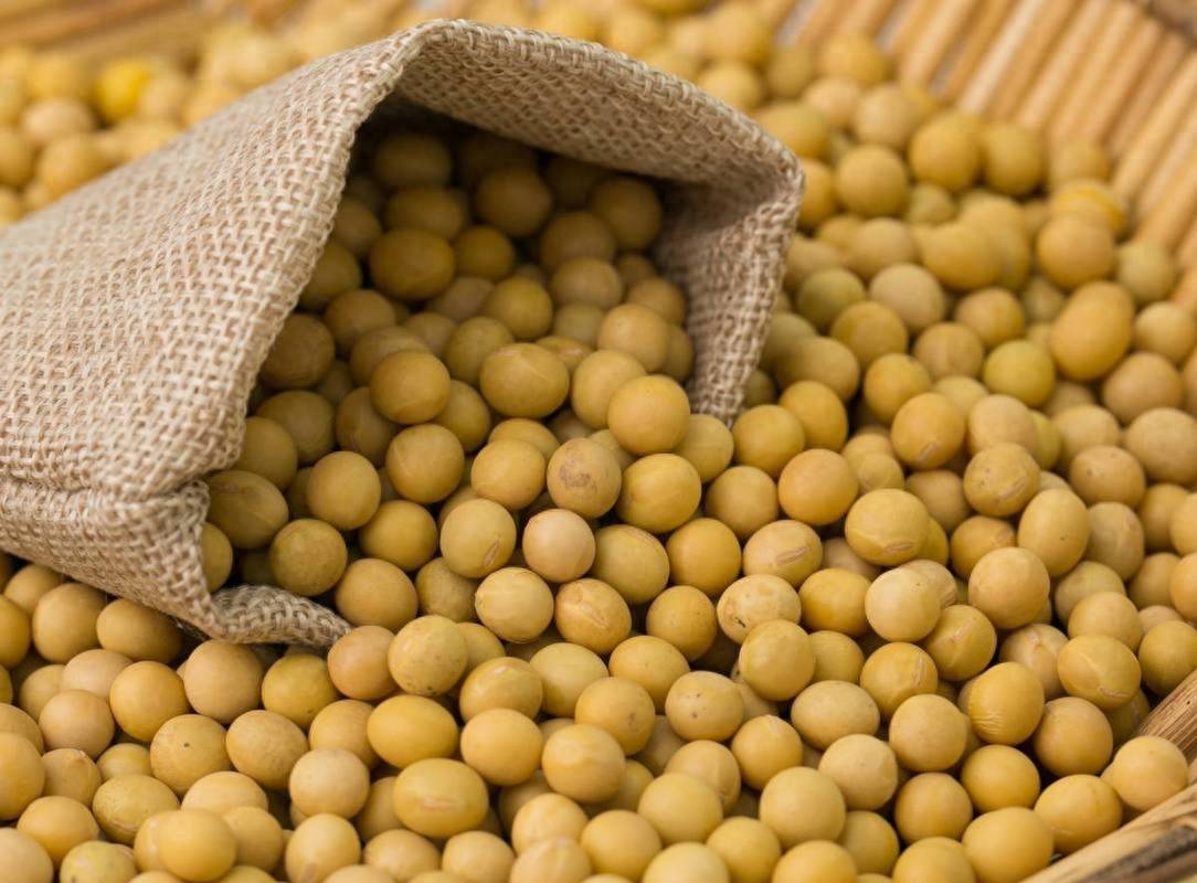 信用平台出租
_中方终于出手信用平台出租
,40艘巨轮开往中国,美国担心的事还是来了