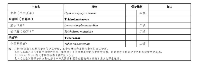 皇冠信用盘会员开户
_价值18万余元!男子在祁连山非法收购5632根冬虫夏草皇冠信用盘会员开户
,构成危害国家重点保护植物罪获刑