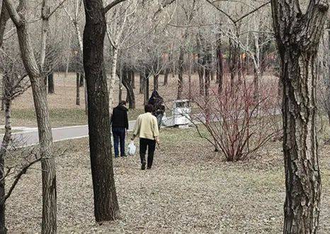 皇冠体育App下载
_哈尔滨人注意！你挖的婆婆丁皇冠体育App下载
，可能“价值”500元…