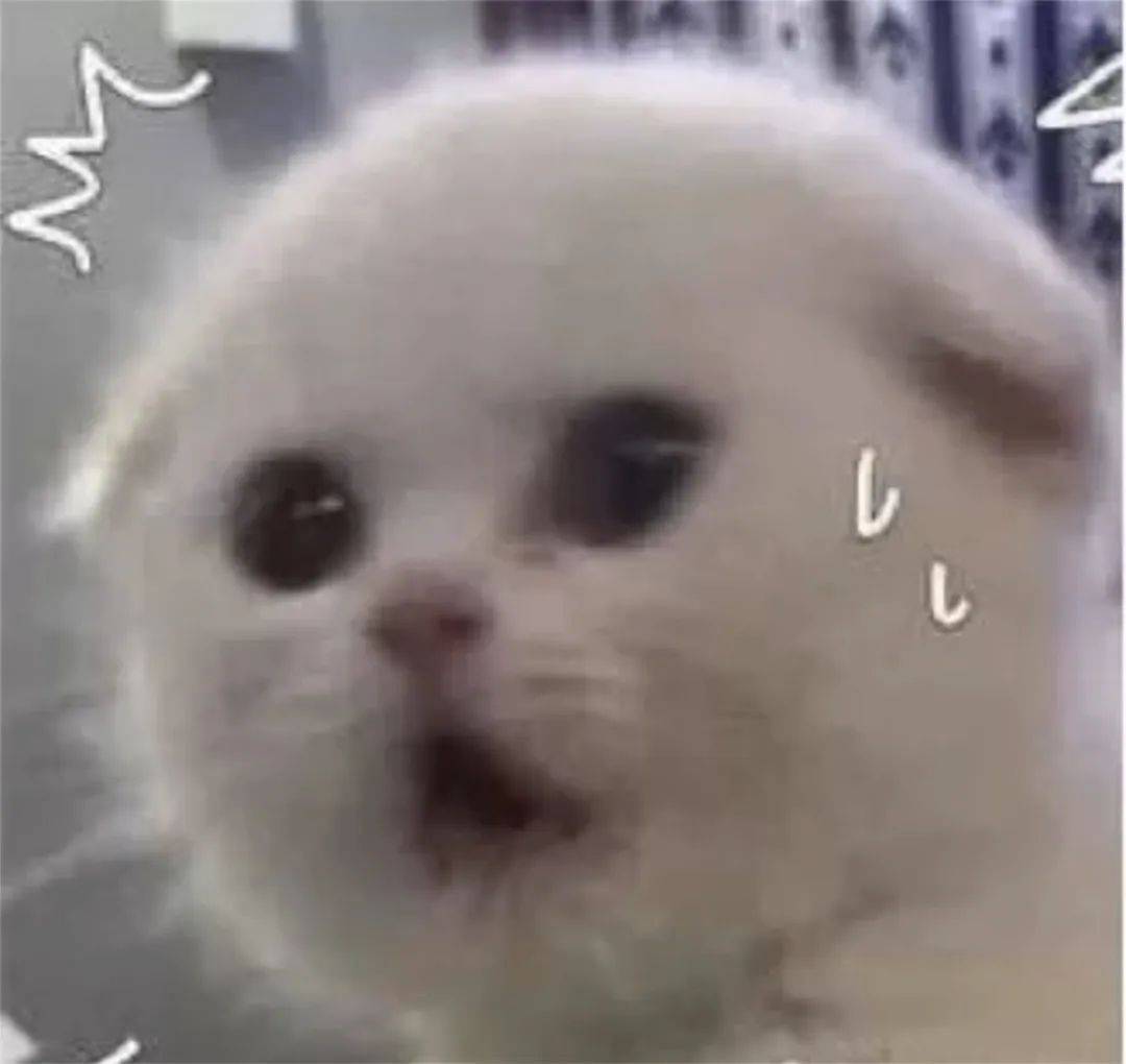 皇冠信用网会员开户
_事关《哪吒2》票房皇冠信用网会员开户
，上海开出罚单！影迷怒了："背刺"的竟是自己人！