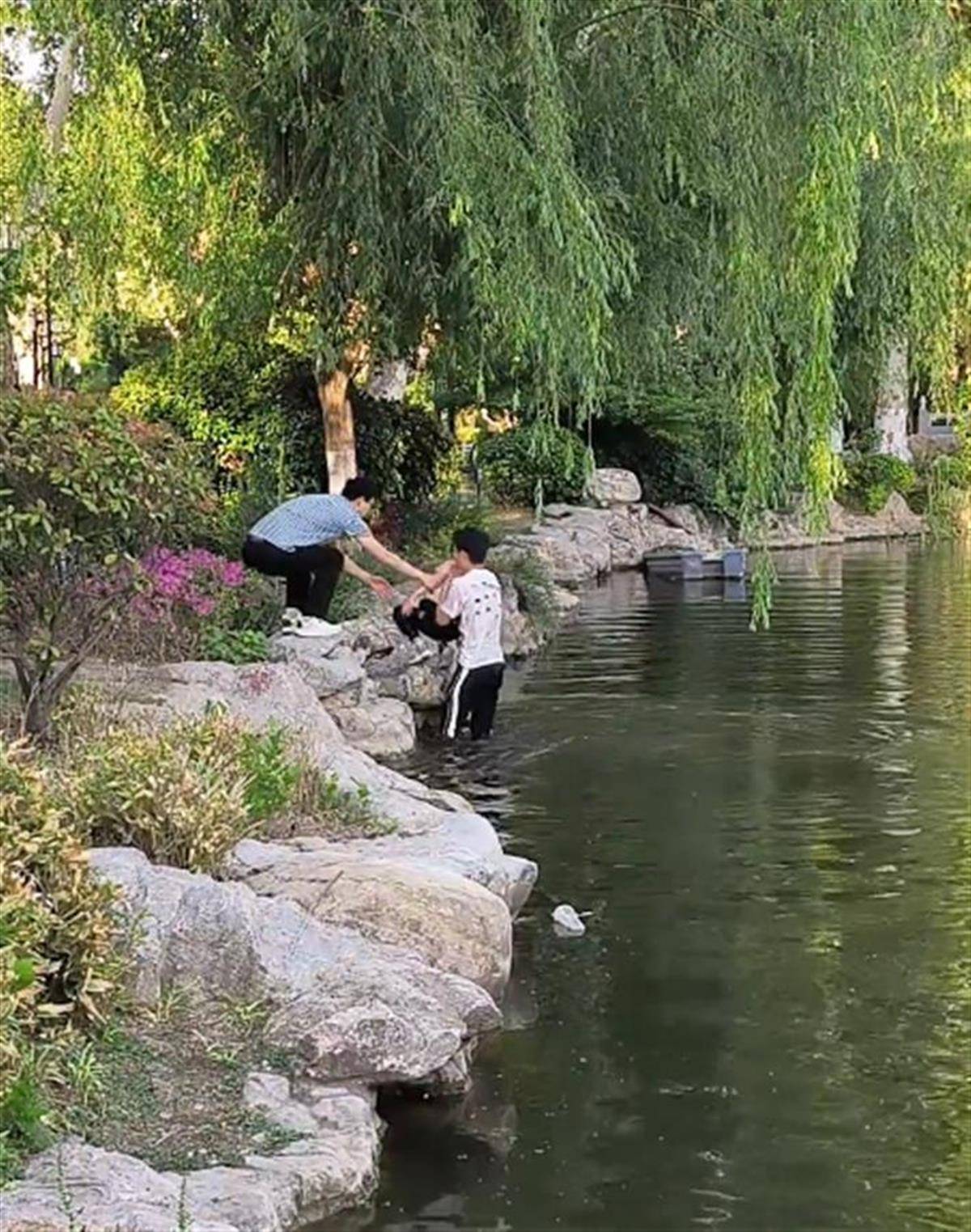 信用盘如何申请
_徐州一女童落水被救起信用盘如何申请
，家长赶来先责怪孩子，救人者：家长当时吓坏了，后来已道谢