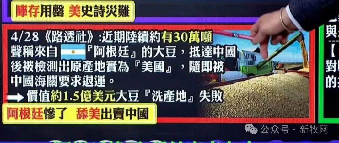 皇冠信用网庄家
_中国退运30万吨美国大豆 取消1.2万吨美国猪肉订单