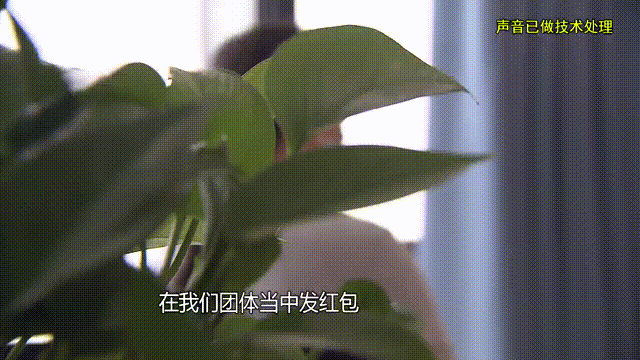 介绍个信用网址多少
_37岁痴情女子倾尽百万泡面果腹仍坚持转账:帮介绍个信用网址多少
他有种使命感