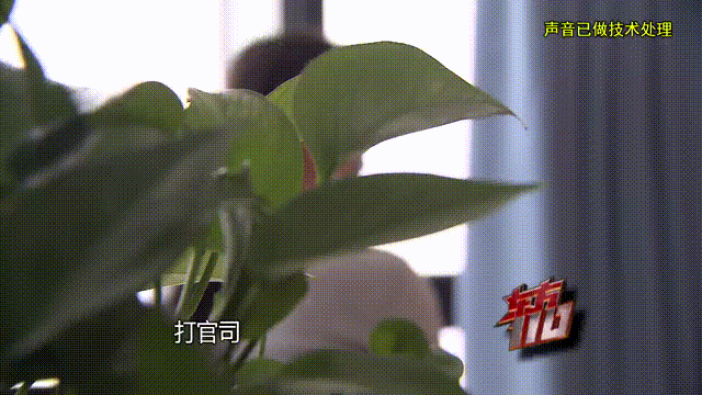 介绍个信用网址多少
_37岁痴情女子倾尽百万泡面果腹仍坚持转账:帮介绍个信用网址多少
他有种使命感