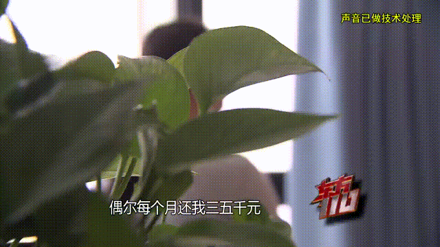 介绍个信用网址多少
_37岁痴情女子倾尽百万泡面果腹仍坚持转账:帮介绍个信用网址多少
他有种使命感