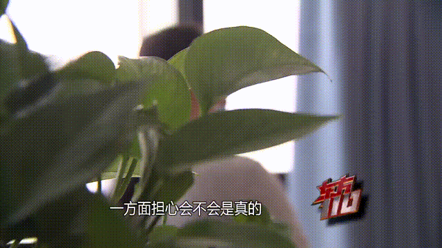 介绍个信用网址多少
_37岁痴情女子倾尽百万泡面果腹仍坚持转账:帮介绍个信用网址多少
他有种使命感