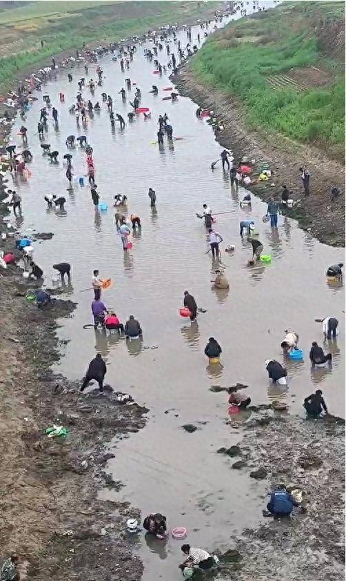 怎么开皇冠信用网
_河南浚县一处河道内众人捞金?当地辟谣:捞的是花甲怎么开皇冠信用网
,已劝离捕捞客