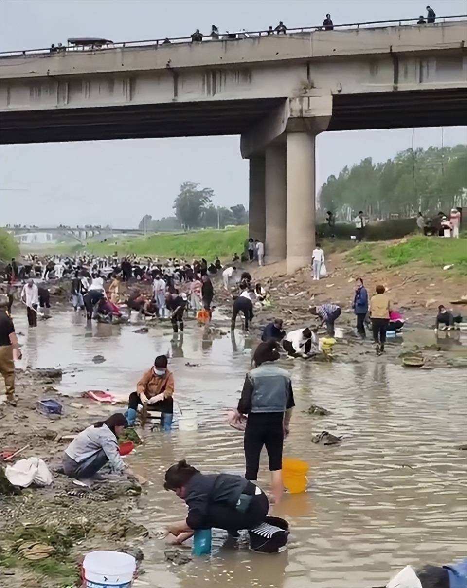 怎么开皇冠信用网
_河南浚县一处河道内众人捞金?当地辟谣:捞的是花甲怎么开皇冠信用网
,已劝离捕捞客
