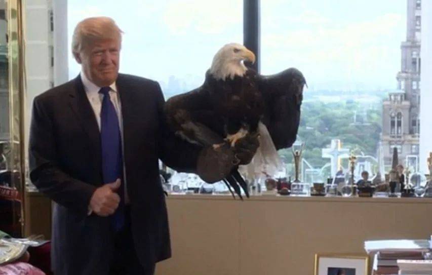 皇冠信用网代理出租
_耶伦再次站了出来皇冠信用网代理出租
,若是与中国对着干,就把美国自己给“打残”了