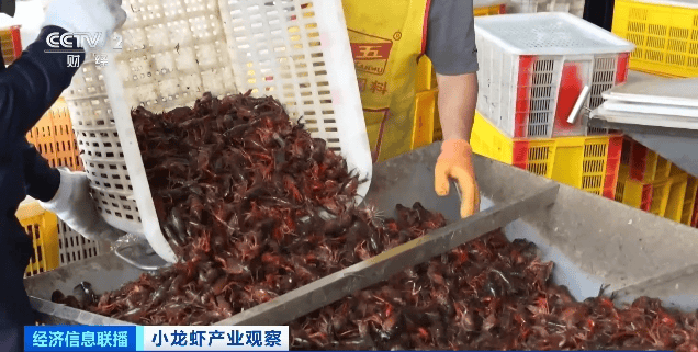 皇冠信用网怎么注册
_价格暴跌近50%皇冠信用网怎么注册
!“接下来还会降”!青岛正大量上市……