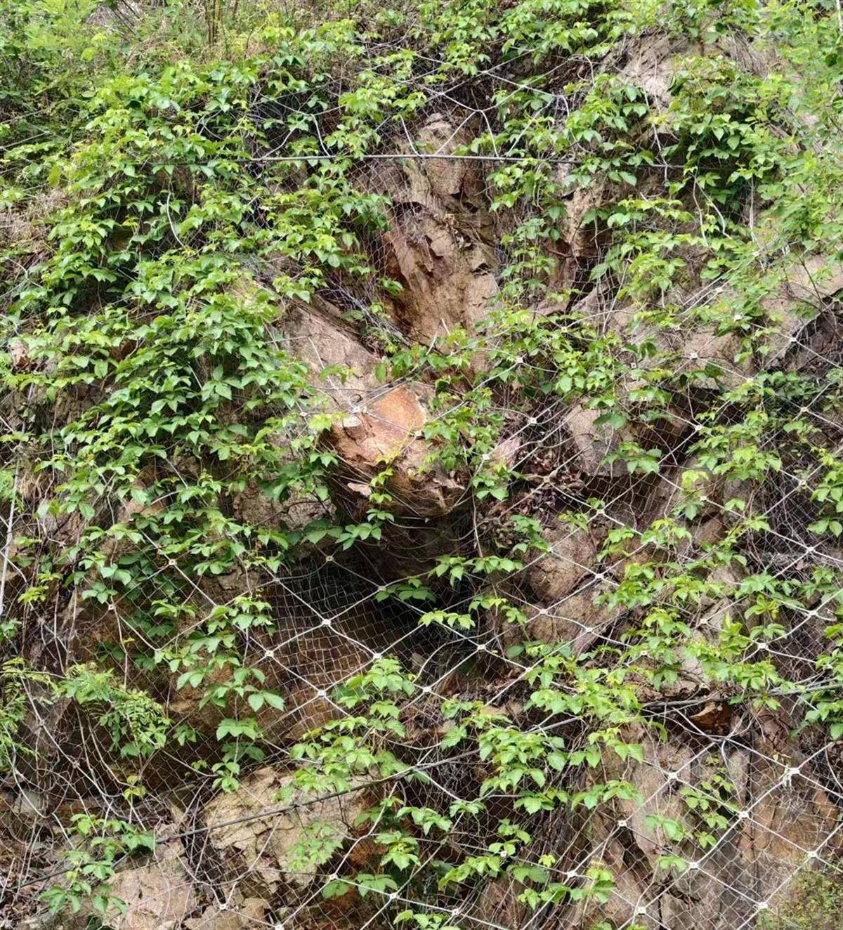 皇冠信用网怎么注册
_洛阳一家四口返家途中私家车被山体落石砸中皇冠信用网怎么注册
，36岁父亲当场遇难，当地政府已成立工作专班