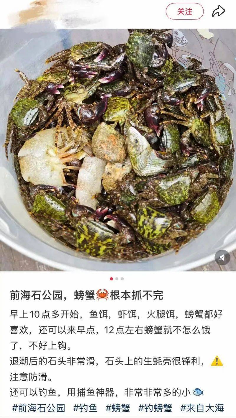 皇冠登3代理申请
_“根本抓不完”皇冠登3代理申请
！很多人扎堆去！深圳网红公园紧急提醒