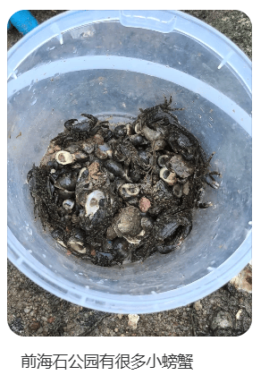 皇冠登3代理申请
_“根本抓不完”皇冠登3代理申请
！很多人扎堆去！深圳网红公园紧急提醒