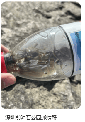 皇冠登3代理申请
_“根本抓不完”皇冠登3代理申请
！很多人扎堆去！深圳网红公园紧急提醒