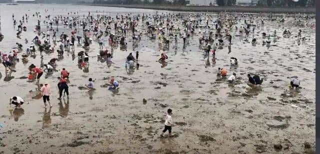 皇冠登3代理申请
_“根本抓不完”皇冠登3代理申请
！很多人扎堆去！深圳网红公园紧急提醒