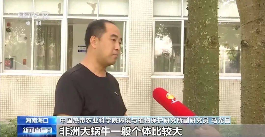 信用網怎么开户
_别碰！别吃！别养！一只就携带100条虫信用網怎么开户
，看到赶紧远离