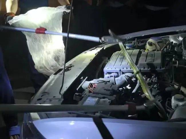 WNBA比分
_太吓人!深圳16天接警232宗!“抓不完WNBA比分
,根本抓不完……”