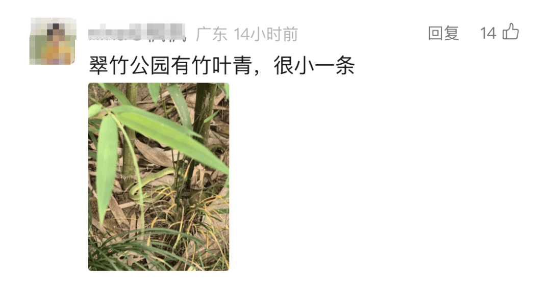 WNBA比分
_太吓人!深圳16天接警232宗!“抓不完WNBA比分
,根本抓不完……”