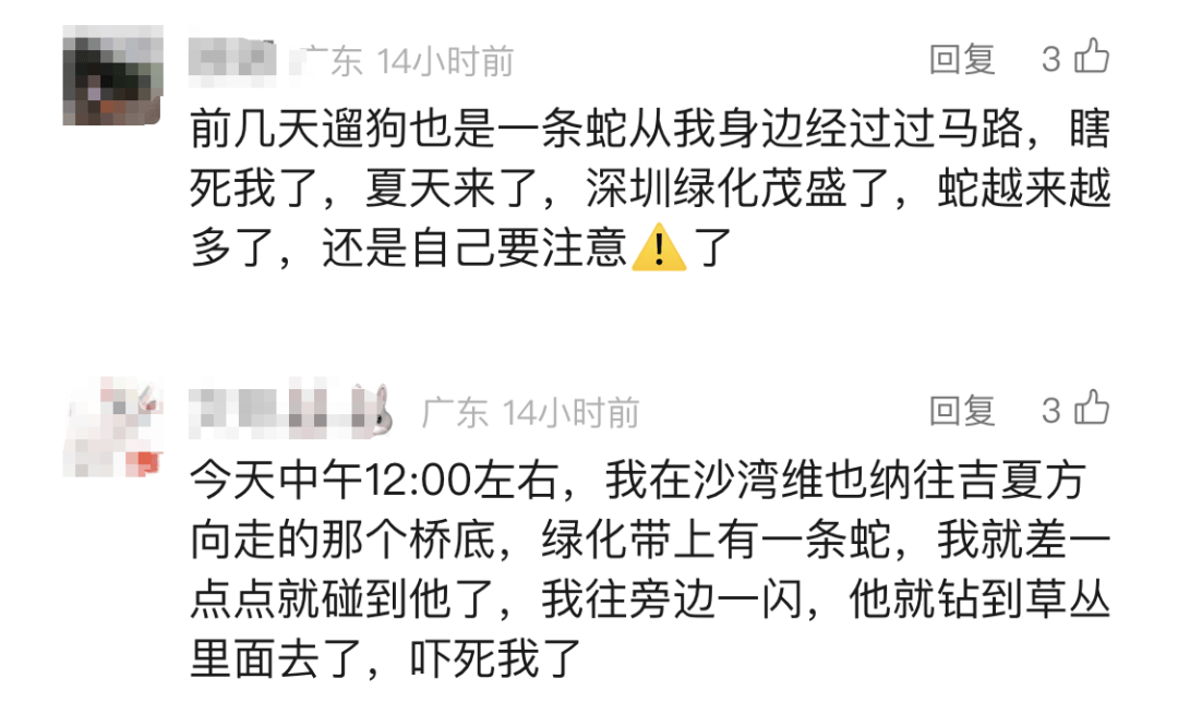 WNBA比分
_太吓人!深圳16天接警232宗!“抓不完WNBA比分
,根本抓不完……”