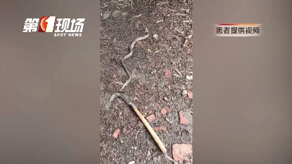 WNBA比分
_太吓人!深圳16天接警232宗!“抓不完WNBA比分
,根本抓不完……”