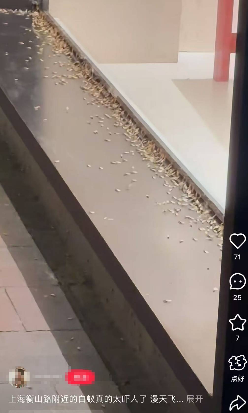 WNBA成绩
_紧急提醒:瞬间爆发!上海市民崩溃:密密麻麻WNBA成绩
,蠕蠕爬行...“梧桐区”已开始战斗,白蚁或提前分飞