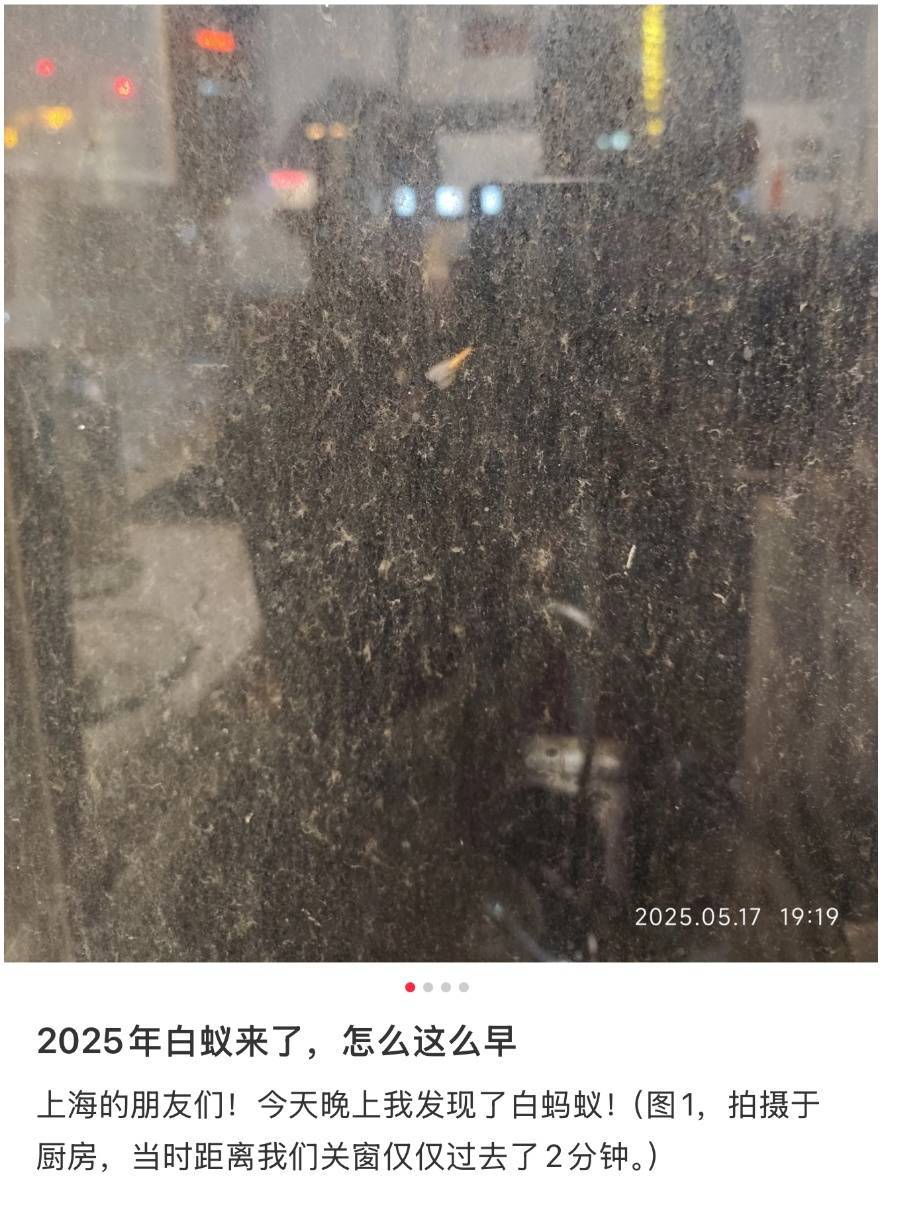 WNBA成绩
_紧急提醒:瞬间爆发!上海市民崩溃:密密麻麻WNBA成绩
,蠕蠕爬行...“梧桐区”已开始战斗,白蚁或提前分飞