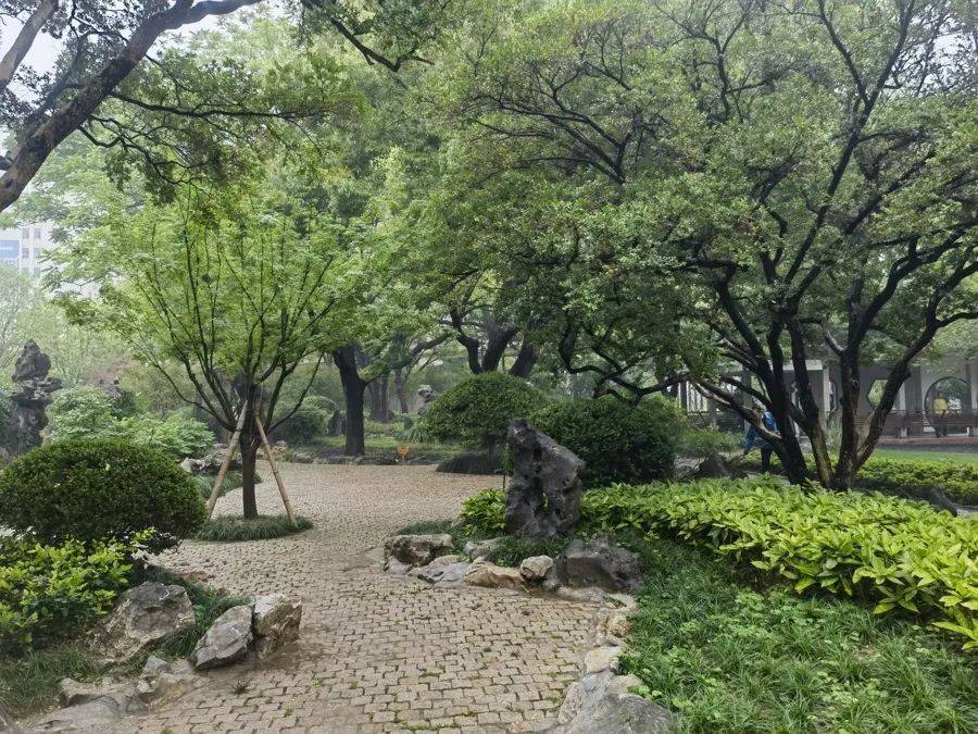 WNBA成绩
_紧急提醒:瞬间爆发!上海市民崩溃:密密麻麻WNBA成绩
,蠕蠕爬行...“梧桐区”已开始战斗,白蚁或提前分飞