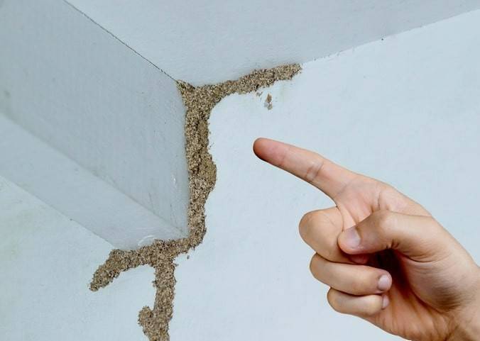 WNBA成绩
_紧急提醒:瞬间爆发!上海市民崩溃:密密麻麻WNBA成绩
,蠕蠕爬行...“梧桐区”已开始战斗,白蚁或提前分飞