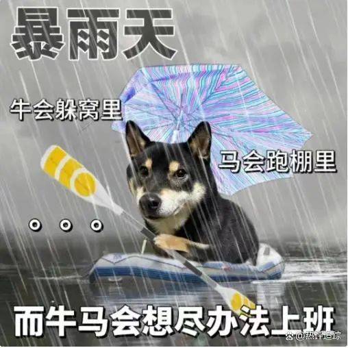 皇冠信用网出租
_暴雨！大暴雨！深圳开启“集中倒水”模式皇冠信用网出租
，广东或有5波……