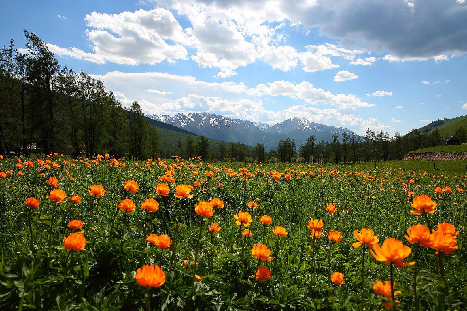 皇冠信用网登3代理
_价值18万元!两人为食用皇冠信用网登3代理
,在新疆阿勒泰垂钓上百尾北极茴鱼 法院判了