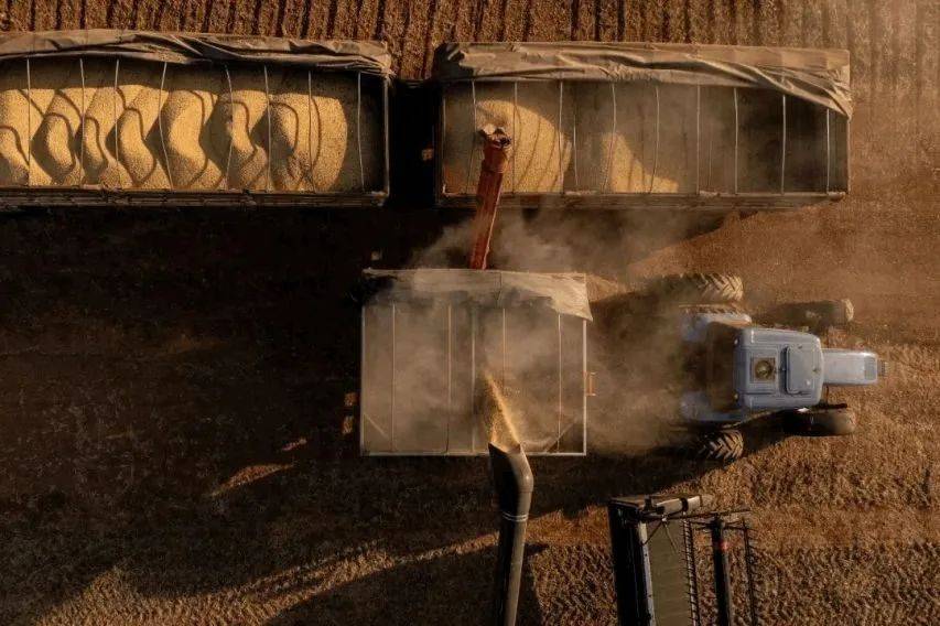 如何申请皇冠信用網
_特朗普后悔晚了!中方仅用十几天如何申请皇冠信用網
,踢美国出局,最大赢家是他