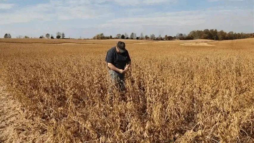 如何申请皇冠信用網
_特朗普后悔晚了!中方仅用十几天如何申请皇冠信用網
,踢美国出局,最大赢家是他