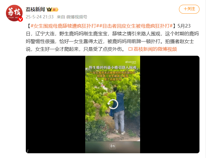 信用網怎么开户
_视频曝光！大连一女子在市区内遭母鹿疯狂扑打信用網怎么开户
，知情人称疑因拍刚出生小鹿，当地：已贴告示提醒，择机将鹿迁移回山里