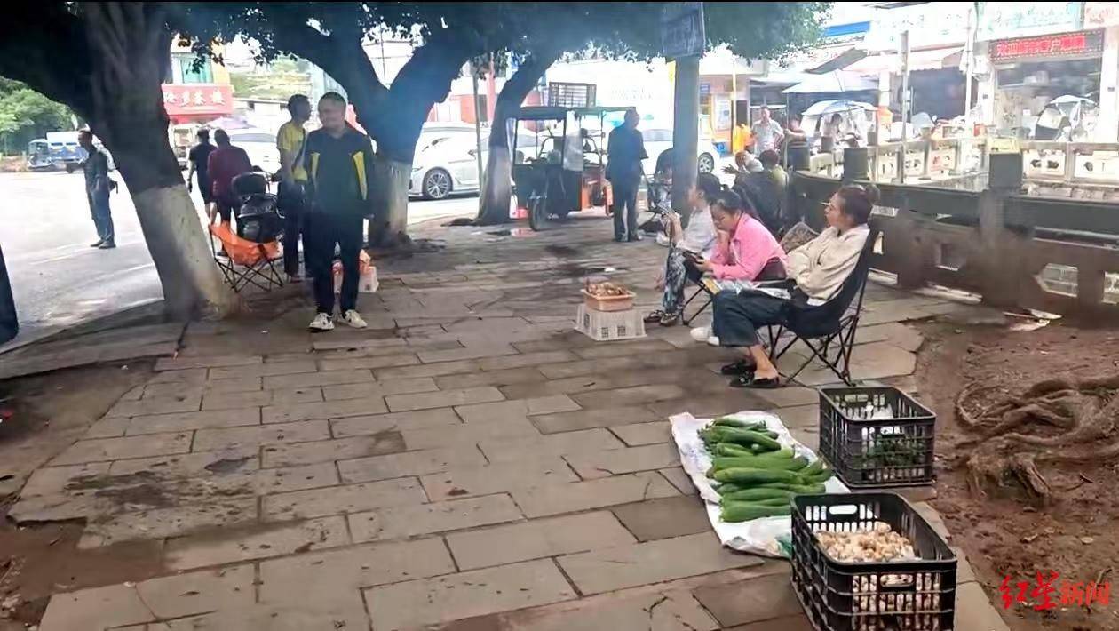 信用平台出租
_“天价”鸡枞调查：最贵卖到1800元/公斤！雨水少致产量低信用平台出租
，多地价高客少