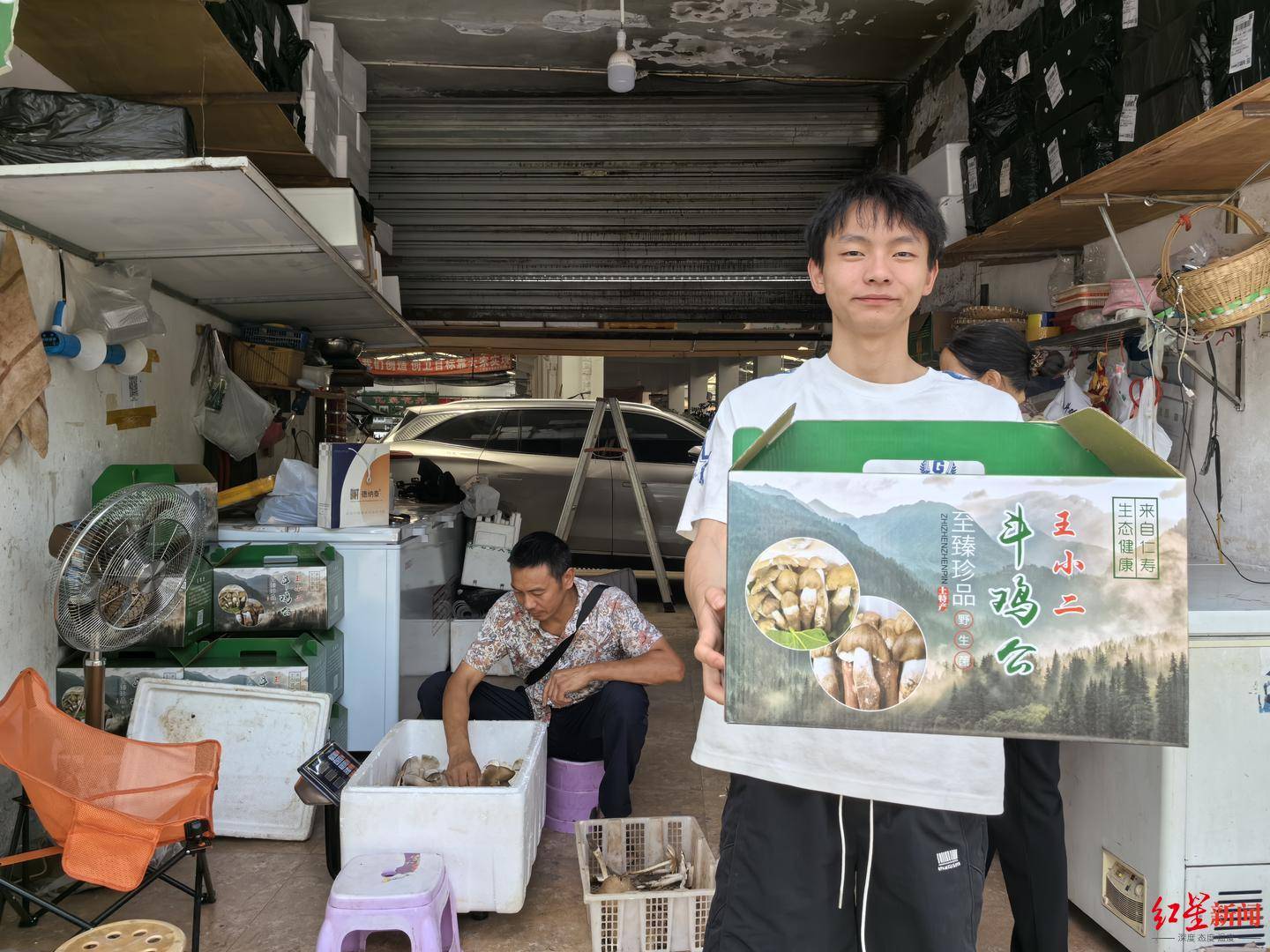 信用平台出租
_“天价”鸡枞调查：最贵卖到1800元/公斤！雨水少致产量低信用平台出租
，多地价高客少