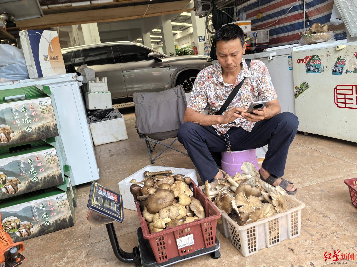 信用平台出租
_“天价”鸡枞调查：最贵卖到1800元/公斤！雨水少致产量低信用平台出租
，多地价高客少