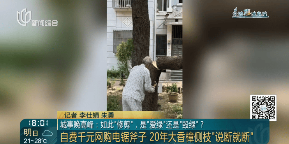 皇冠信用網在线申请
_上海一小区20年香樟说砍就砍皇冠信用網在线申请
!八旬老爷叔:拿我怎么样?