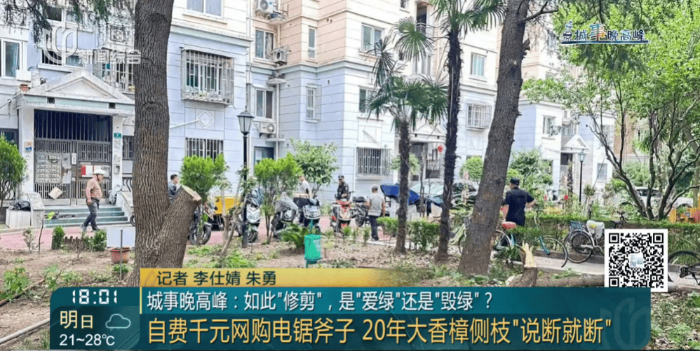 皇冠信用網在线申请
_上海一小区20年香樟说砍就砍皇冠信用網在线申请
!八旬老爷叔:拿我怎么样?