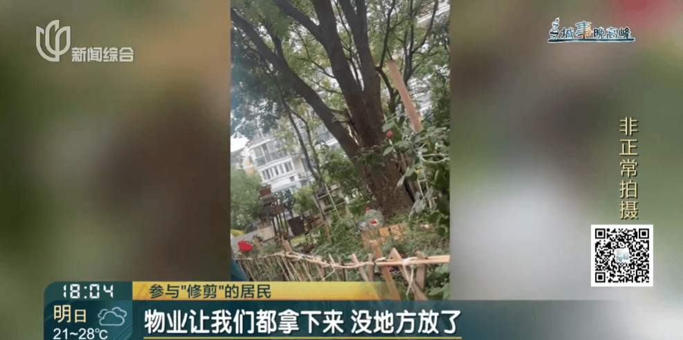 皇冠信用網在线申请
_上海一小区20年香樟说砍就砍皇冠信用網在线申请
!八旬老爷叔:拿我怎么样?