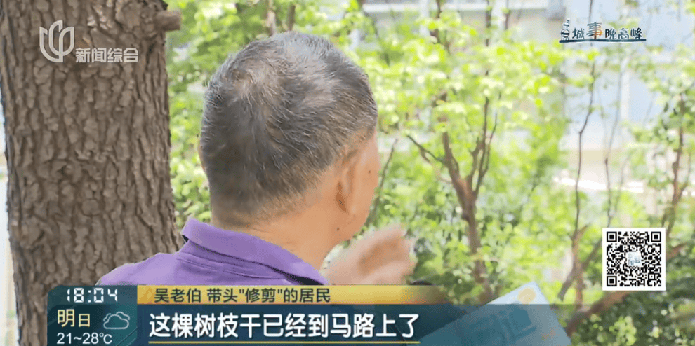 皇冠信用網在线申请
_上海一小区20年香樟说砍就砍皇冠信用網在线申请
!八旬老爷叔:拿我怎么样?