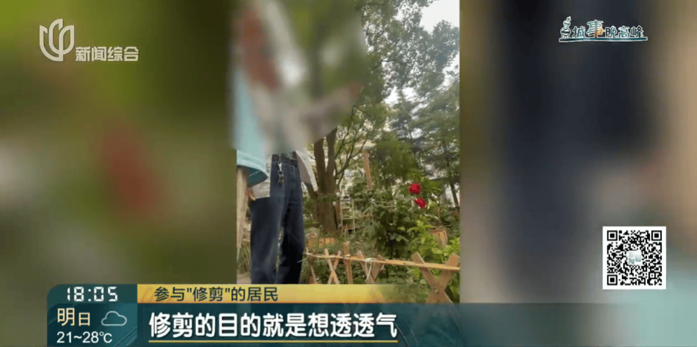 皇冠信用網在线申请
_上海一小区20年香樟说砍就砍皇冠信用網在线申请
!八旬老爷叔:拿我怎么样?