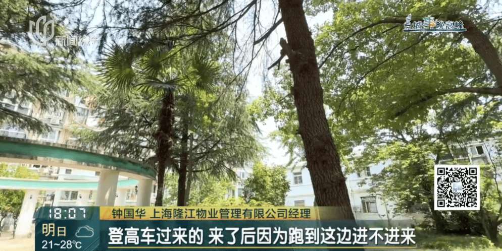 皇冠信用網在线申请
_上海一小区20年香樟说砍就砍皇冠信用網在线申请
!八旬老爷叔:拿我怎么样?