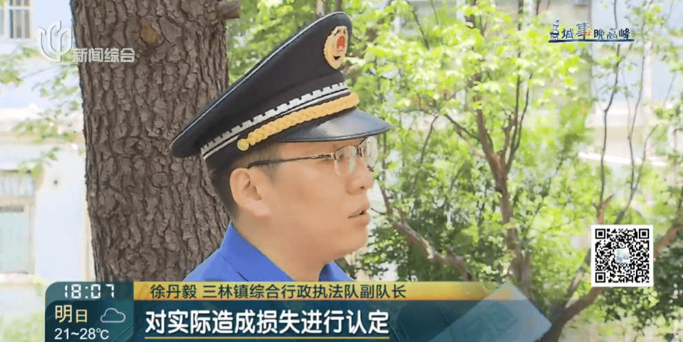 皇冠信用網在线申请
_上海一小区20年香樟说砍就砍皇冠信用網在线申请
!八旬老爷叔:拿我怎么样?