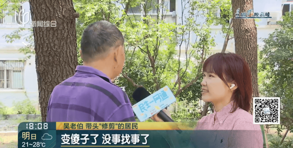 皇冠信用網在线申请
_上海一小区20年香樟说砍就砍皇冠信用網在线申请
!八旬老爷叔:拿我怎么样?