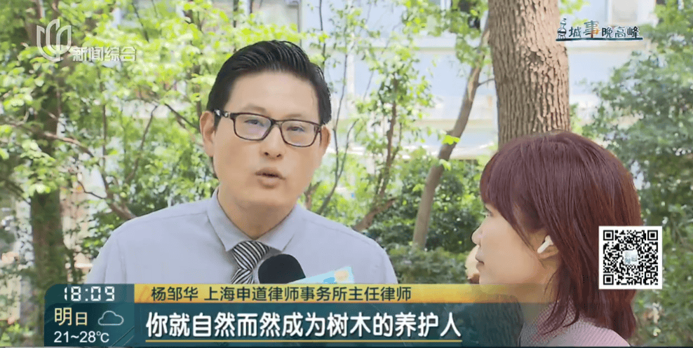 皇冠信用網在线申请
_上海一小区20年香樟说砍就砍皇冠信用網在线申请
!八旬老爷叔:拿我怎么样?