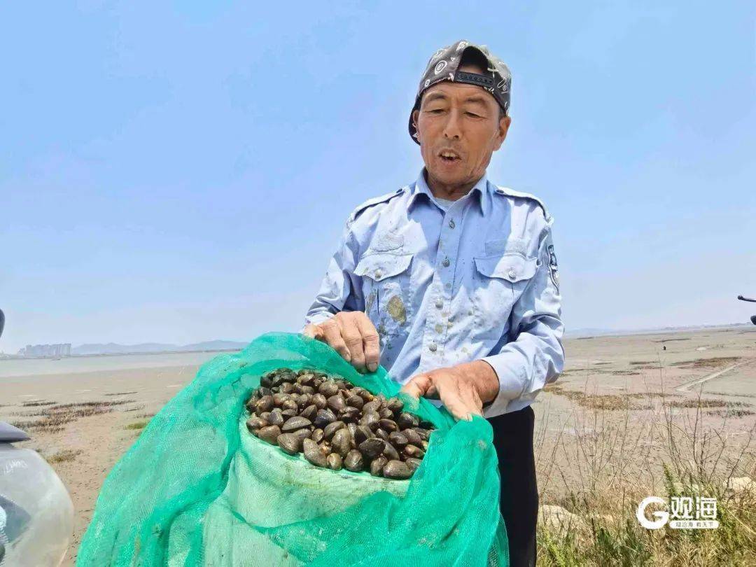 皇冠信用网押金多少
_正是肥的时候！每天上万斤在青岛这里上岸皇冠信用网押金多少
，很多人爱吃......