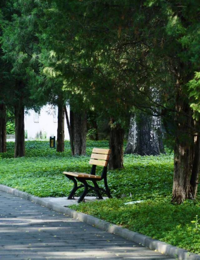 皇冠信用网足球代理
_最便宜收费公园？北京一公园门票仅0.2元皇冠信用网足球代理
，季票价3元